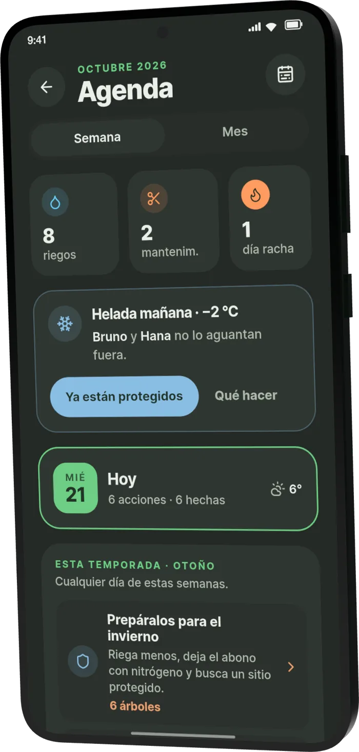 Agenda de Bonsari: los cuidados de la semana, el aviso de helada y las tareas de temporada