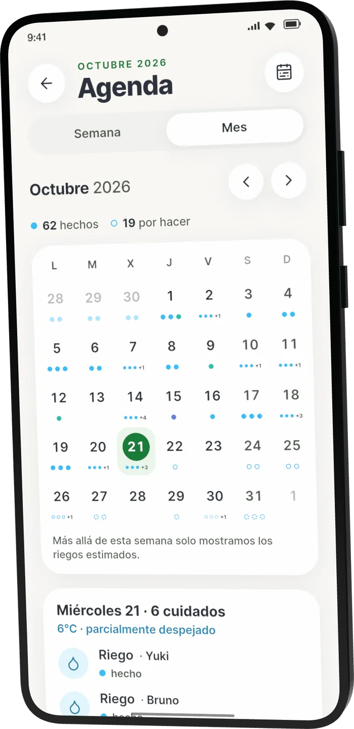 Agenda de Bonsari, vista del mes de octubre: 62 cuidados hechos y 19 por hacer, con el día de hoy marcado