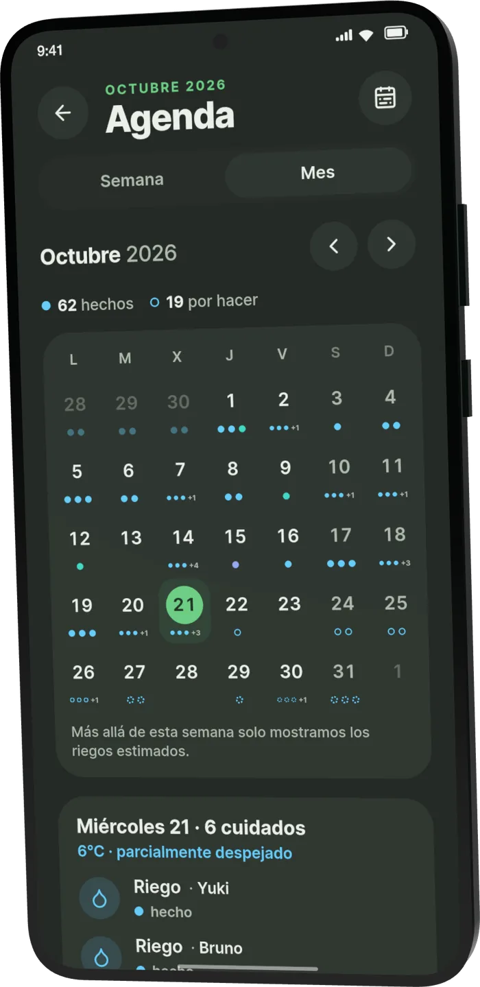 Agenda de Bonsari, vista del mes de octubre: 62 cuidados hechos y 19 por hacer, con el día de hoy marcado