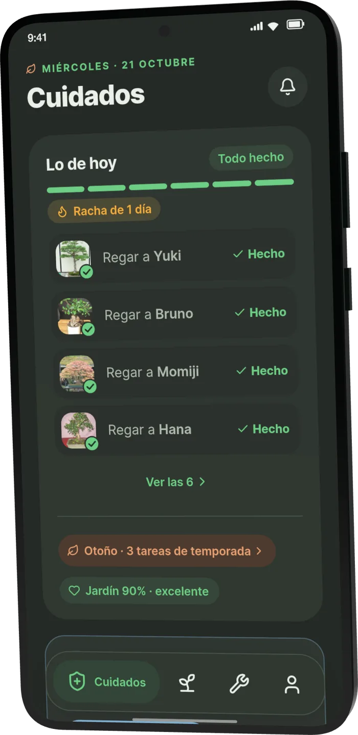 Cuidados en Bonsari: lo de hoy (regar a Yuki, Bruno, Momiji y Hana, todo hecho)