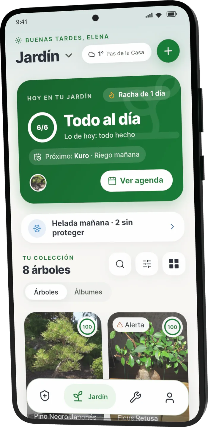 Jardín de Bonsari: «Todo al día», 6 de 6 cuidados de hoy hechos, próximo riego de Kuro mañana y aviso de helada
