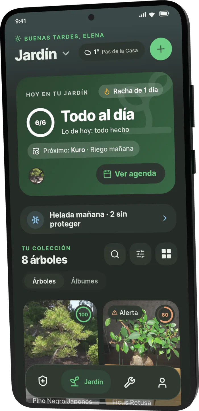 Jardín de Bonsari: «Todo al día», 6 de 6 cuidados de hoy hechos, próximo riego de Kuro mañana y aviso de helada