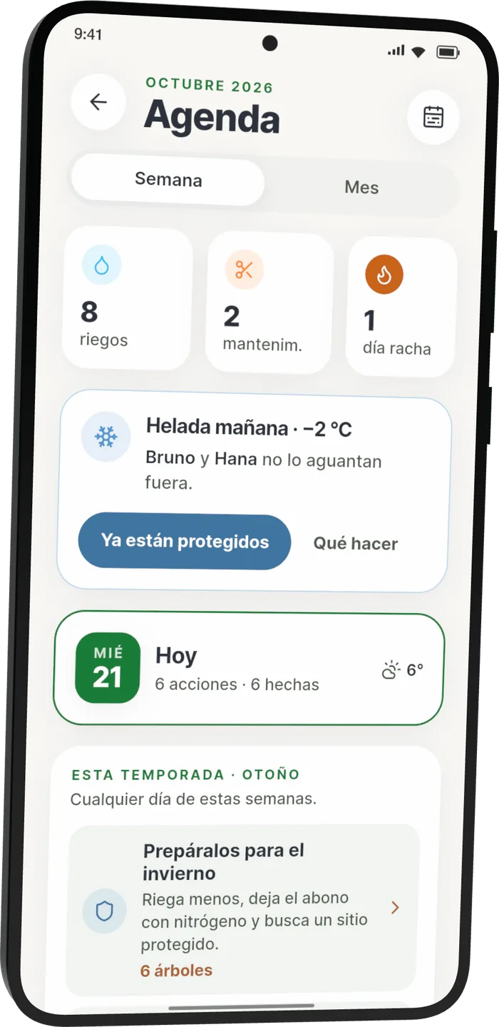 Agenda de Bonsari: «Helada mañana, −2 °C. Bruno y Hana no lo aguantan fuera», con los botones «Ya están protegidos» y «Qué hacer».