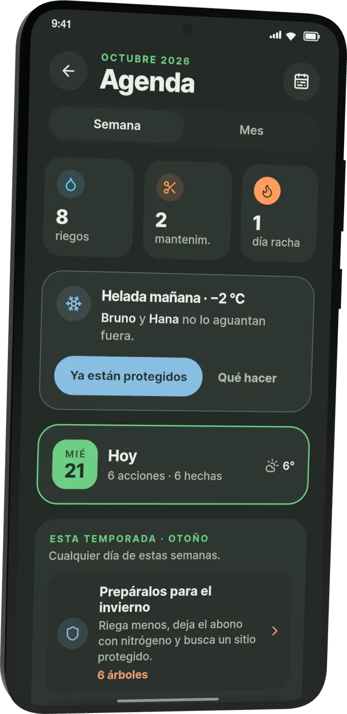 Agenda de Bonsari: «Helada mañana, −2 °C. Bruno y Hana no lo aguantan fuera», con los botones «Ya están protegidos» y «Qué hacer».