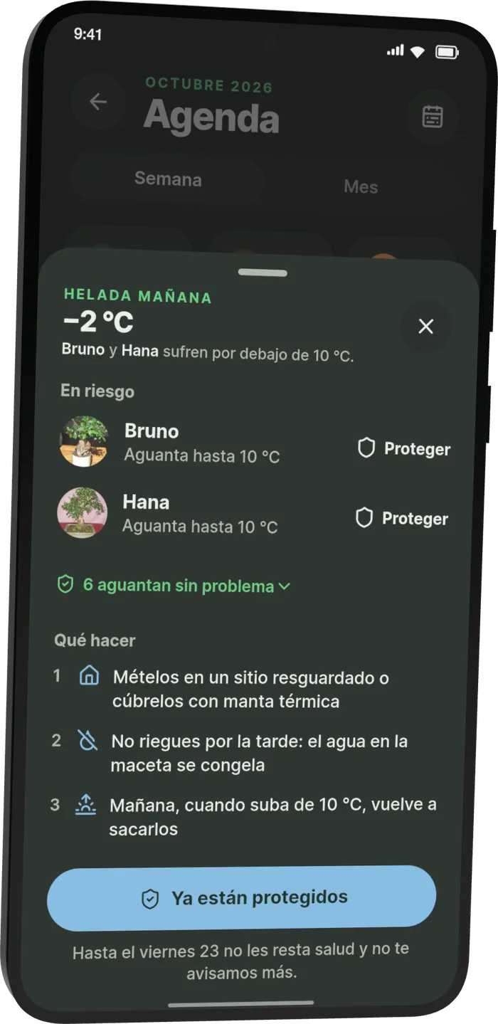 Hoja «Qué hacer» ante la helada: meterlos a resguardo o cubrirlos con manta térmica, no regar por la tarde y sacarlos cuando suba de 10 °C.