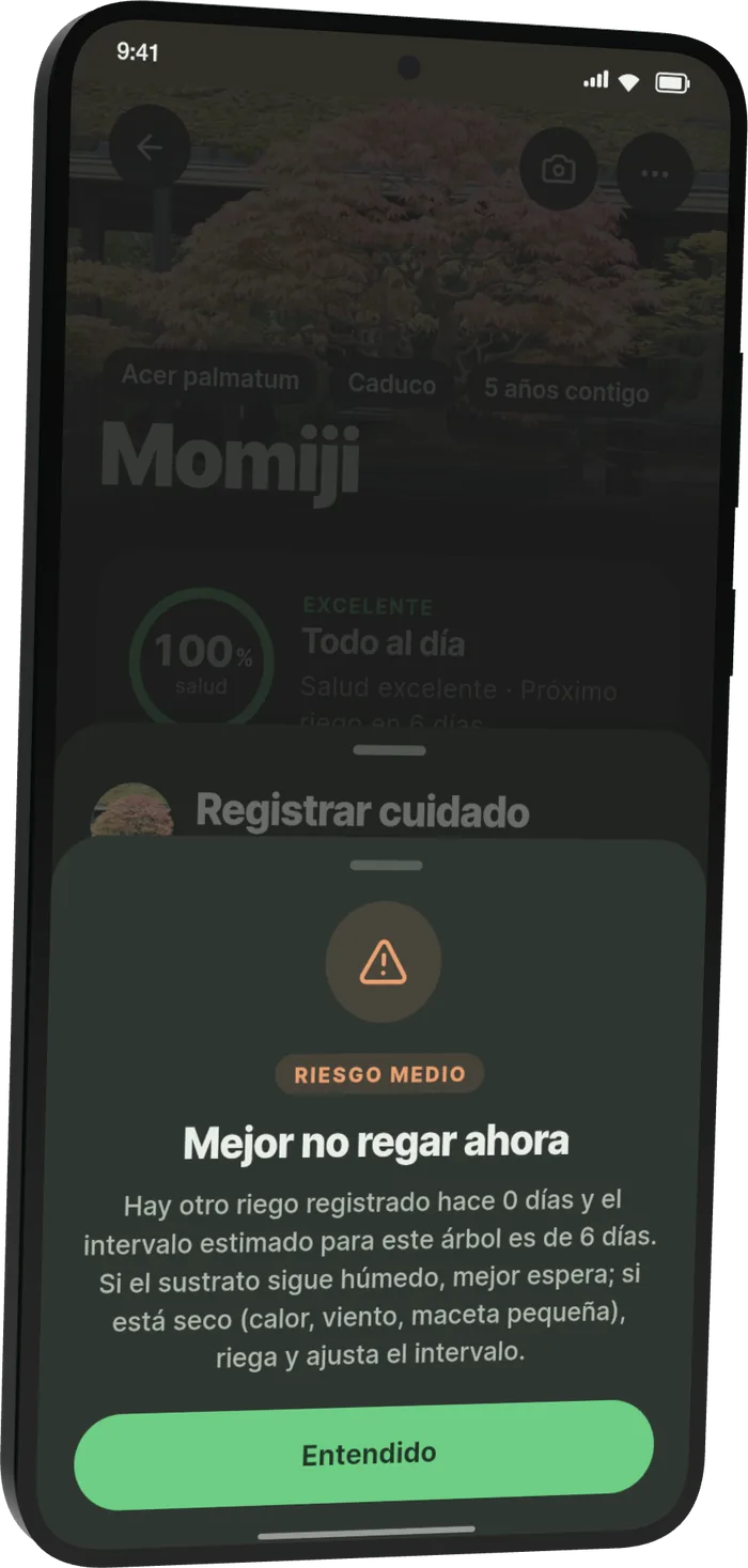 Aviso de Bonsari al registrar riego a Momiji: «Mejor no regar ahora». Ya hay un riego registrado y el intervalo estimado para este árbol es de 6 días. Si el sustrato sigue húmedo, mejor espera; si está seco, riega y ajusta el intervalo.